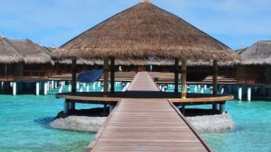 Luxury Cheap International Flights Deals: Find Affordable Luxury Travel